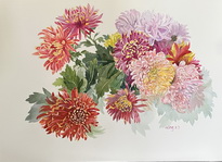 Colorful Mums