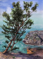 Portugal Coast